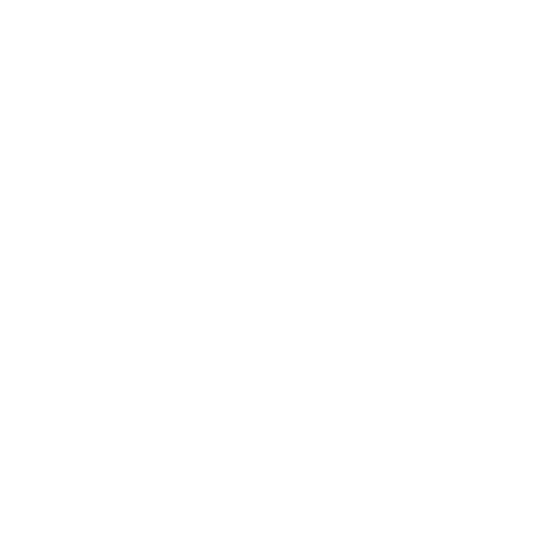 Google Premier Partner